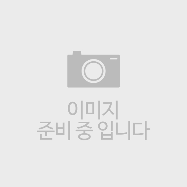 레일 밀링차